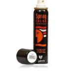 Stageline Hair spray Plata (Silver)